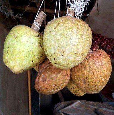 Custard Apples